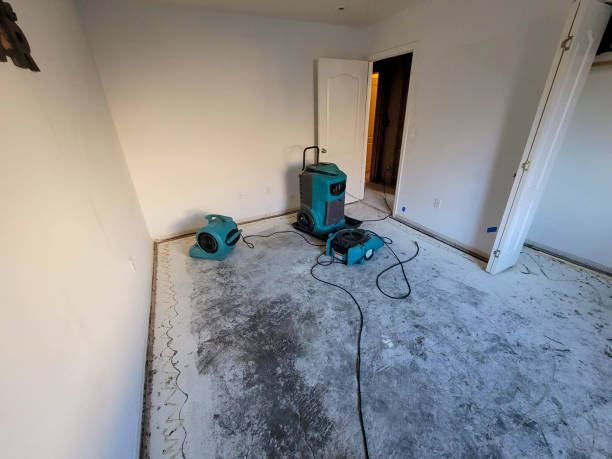 Best 24/7 water damage repair  in Spanish Lake, MO