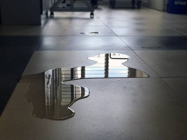 Best Professional water damage repair  in Spanish Lake, MO