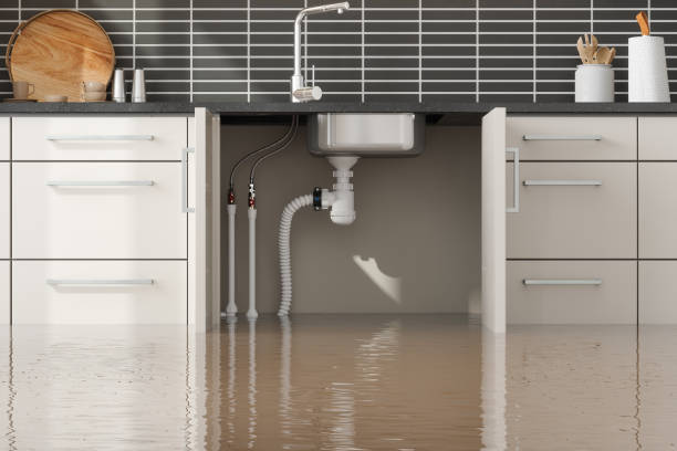 Best Water damage restoration near me  in Spanish Lake, MO